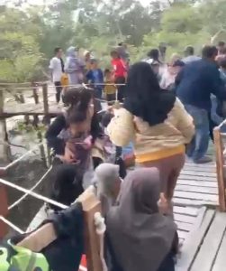Jembatan mangrove Miring, Belasan Orang Nyaris Jatuh