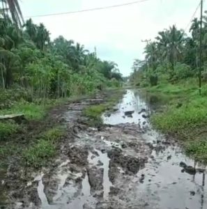 Puluhan Tahun Tak Tersentuh, Kondisi Jalan Lintas Kecamatan Bak Kubangan Kerbau