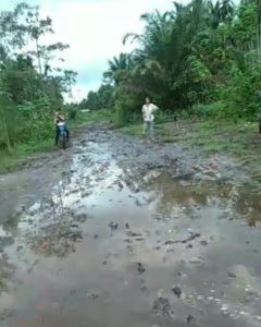 Respon Keluhan Warga Senyerang, Dewan Sebut Tahun Ini Jalan Lintas Kecamatan Dibangun