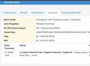 Peningkatan Jalan Kecamatan Senyerang 2022 Jadi Temuan BPK, Diduga Rugikan Negara Capai Ratusan Juta