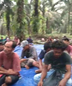 Berunding Jalur Mediasi Gagal, Badang Kembali Duduki Lahan