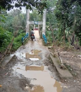 PTPN VI Bukit Kausar Kurang Perhatian, Siswa Sekolah Dasar Melintasi Jembatan Gantung Untuk Sampai Ke Sekolah