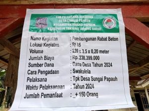 Diduga Pekerjaan Jalan Desa Sungai Papauh Mark Up Anggaran