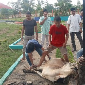 Hari Raya Idul Adha 1445 Hijriah, Inspektorat Tanjabbar Qurban 1 Ekor Sapi