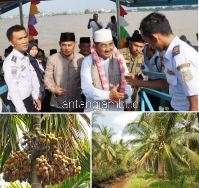 Dorong Nilai Jual Hasil Perkebunan, Pemkab Tanjabbar Upayakan Hilirisasi Komoditi Pinang dan Kelapa Dalam