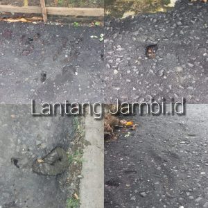Proyek Pengaspalan Kelapa Gading Rusak, Kinerja dan Pengawasan Perkim Disorot 