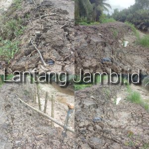 Diduga Dikerjakan Asal Jadi, Proyek Tanggul Dana Desa Tanjung Senjulang Sudah Rusak