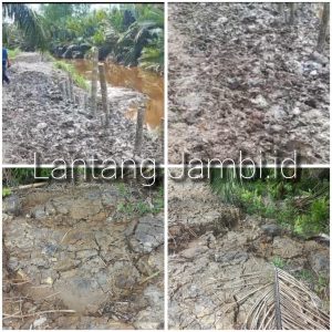 Perbaikan Proyek Tanggul Rusak Belum Maksimal, Diminta Inspektorat Audit DD Tanjung Senjulang 