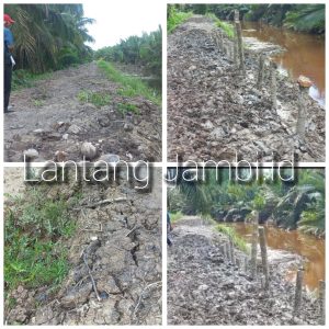 Proyek Tanggul DD Rusak, Ternyata Telan Dana Hingga Ratusan Juta 