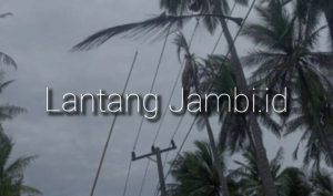 Pemadaman Listrik Saat Hujan, PLN Sebut Gangguan Akibat Tanam Tumbuh 