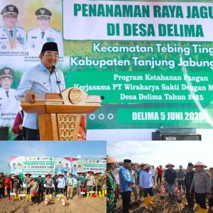 Bupati Tanjabbar Gelar Panen Raya Serta Penanaman Bibit Jagung di Kecamatan Tebing Tinggi 