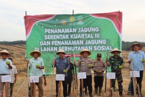 Mendukung Swasembada Pangan, Kapolres Tanjabbar Bersama Forkopimda Tanam Jagung Serentak Kuartal III