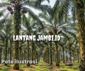 Lebih 10 Tahun Beroperasi di Tanjabbar, PT Pelda Belum Laksanakan Kewajiban 20%
