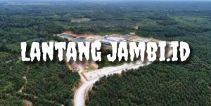 Diduga Abaikan Permentan Nomor 18 Tahun 2021, PTPN 1V Jambi dan Tri Mitra Lestari Terancam Sanksi