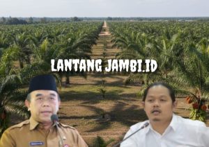 Tindak Tegas Perusahaan Perkebunan Tak Berizin !! Dewan Siap Backup Pemda
