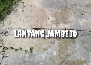 Dana Desa Suak Labu Disorot Inspektorat, TPK Hingga Kades Masih Bungkam 