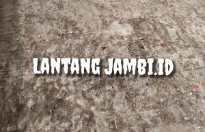 Proyek DD Teluk Pengkah Rusak, Negara Berpotensi Dirugikan, Kades Malah Bungkam