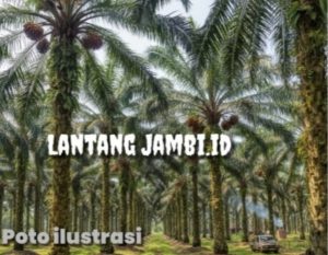 Masyarakat Adat Desa Badang Tolak CP/CL, Minta Disbunak Tanjabbar Tak Intervensi Desa