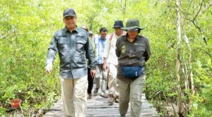 Bersama Tim Kementerian Kehutanan, Wabup Tanjabbar Kunjungi Mangrove Pangkal Babu