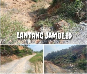 Jalan Lubuk Spontan Menuju Tanjung Tayas Longsor, Aktivitas Warga Terganggu 