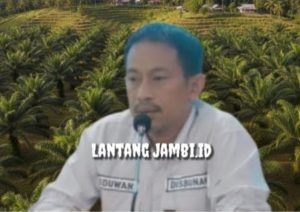 Pasca Turun, Harga TBS Sawit di Tanjabbar Terpantau Merangkak Naik