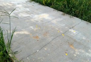 Terkait Curi Star Kegiatan DAU, Pelaksana Hingga Lurah Bram Itam Kiri Diperiksa Inspektorat Tanjabbar 
